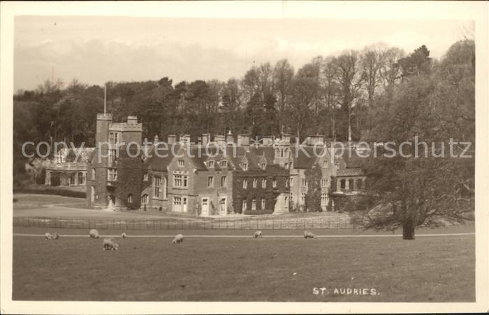 St Audries Park Manor House Sheeps