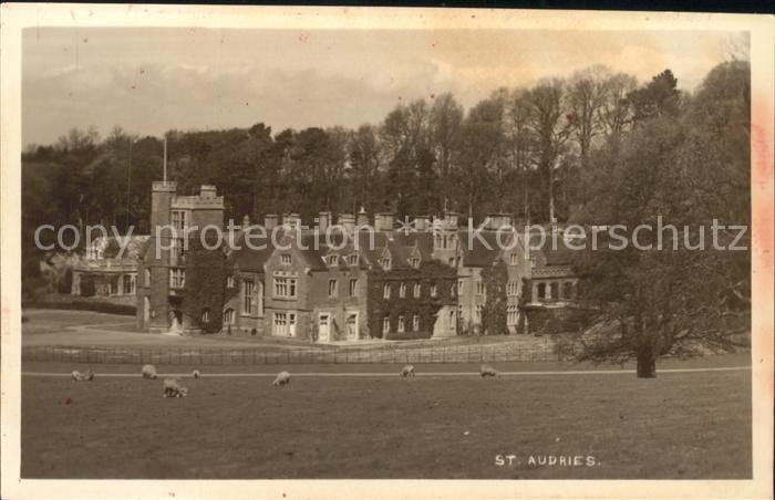 St Audries Park Manor House Sheeps