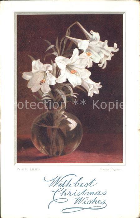 Verlag Tucks Oilette Nr. 9240 Lilien Weihnachten Bertha Maguire