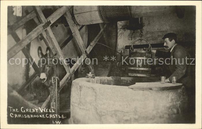 Esel Tiere Great Well Carisbrooke Castle Brunnen