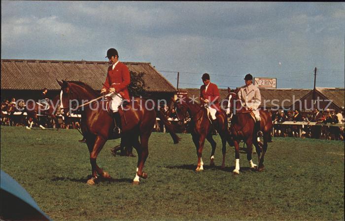 Pferdesport Pferderennen Reitsport