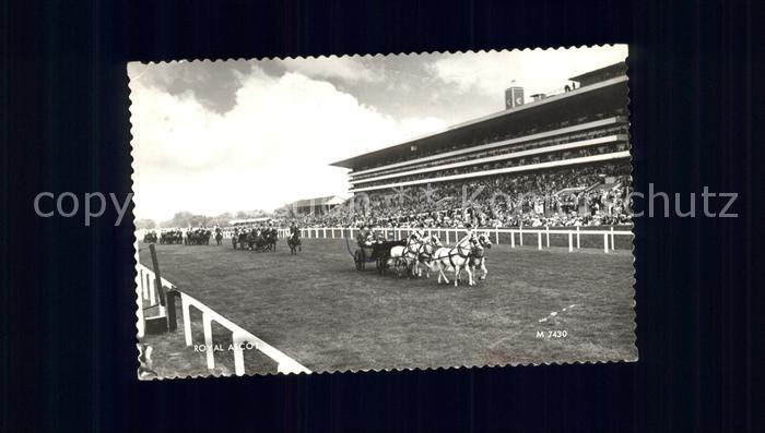 Pferdesport Pferderennen Reitsport Royal Ascot