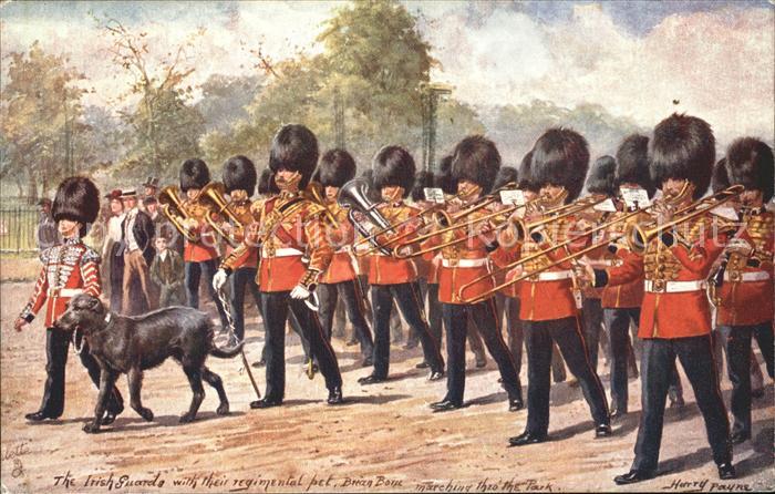 Leibgarde Wache Irish Guards Dog Brian Boru Harry Payne