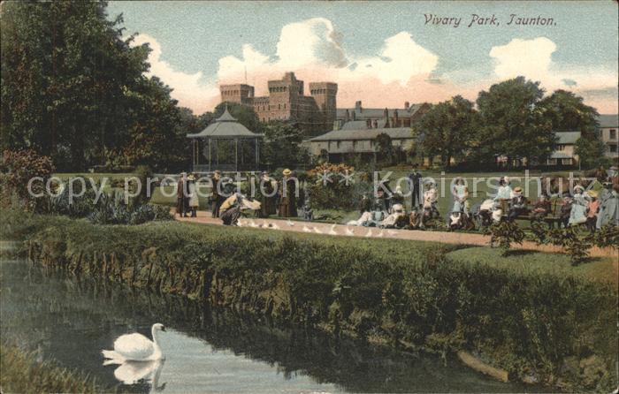 Taunton Deane Vivary Park Swan