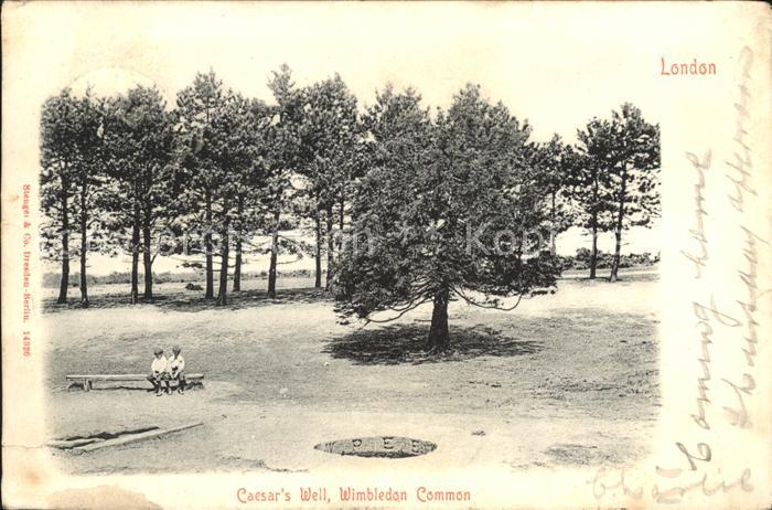 London Caesar's Well Wimbledon Common