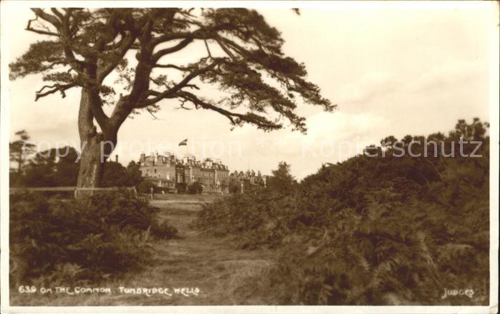 Tunbridge Wells On the Common