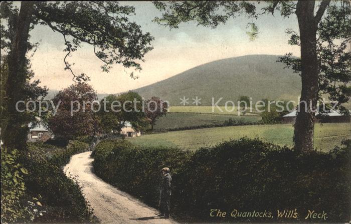 Taunton Deane The Quantocks Wills Neck Frith's Series