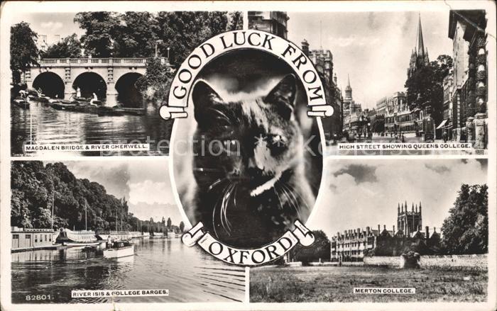 Oxford Oxfordshire Magdalen Bridge River High Street College Cat