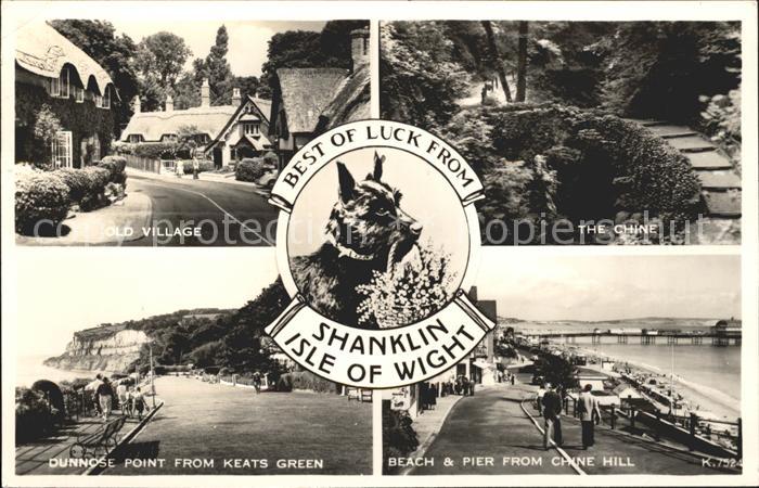 Shanklin Old Village The Chine Dunnose Point Beach Pier Dog