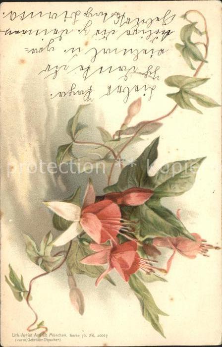 Blumen Litho München Gebrüder Obpacher