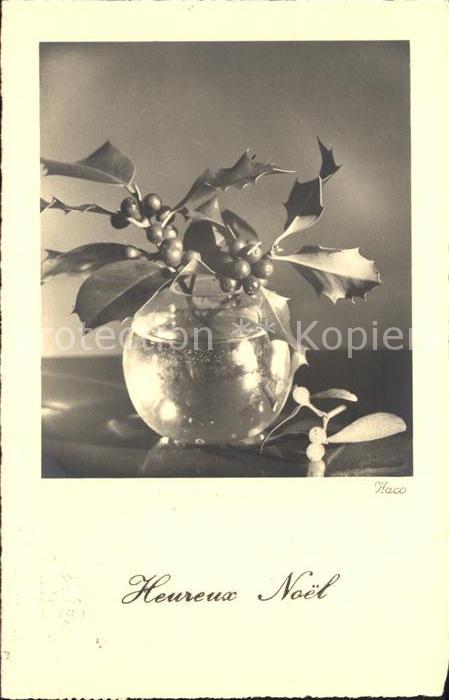 Weihnachten Vase Mistel Stechpalme