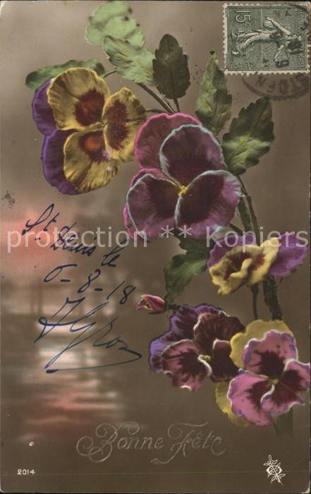 Blumen Stiefmütterchen Bonne Fete