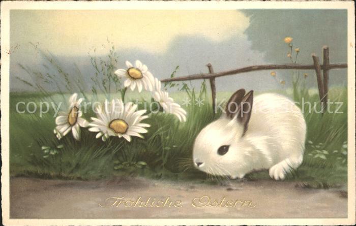 Hasen Gänseblümchen Ostern