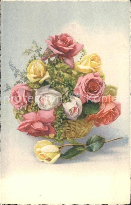 Rosen Photochromie Nr. 4009