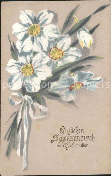 Konfirmation Dichter-Narzissen Glueckwunsch