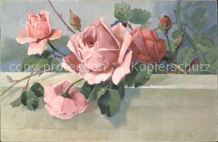 Rosen