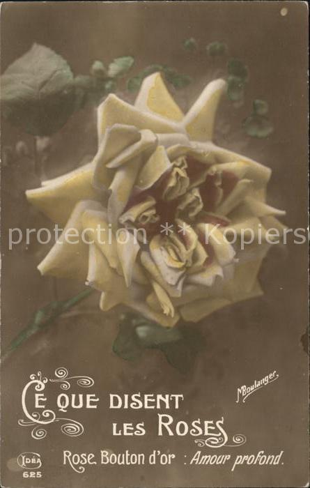 Rosen Gelbe Rose Verlag-Idea-Nr. 625