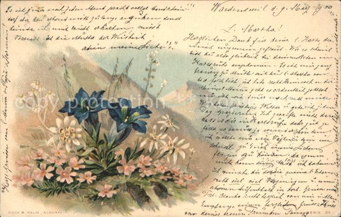 Edelweiss Enzian Litho Berge