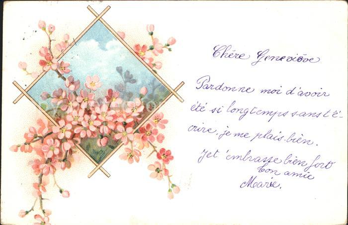Blumen Litho