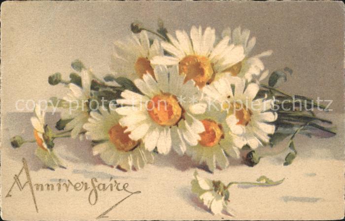 Blumen Margeriten Geburtstag Anniversaire