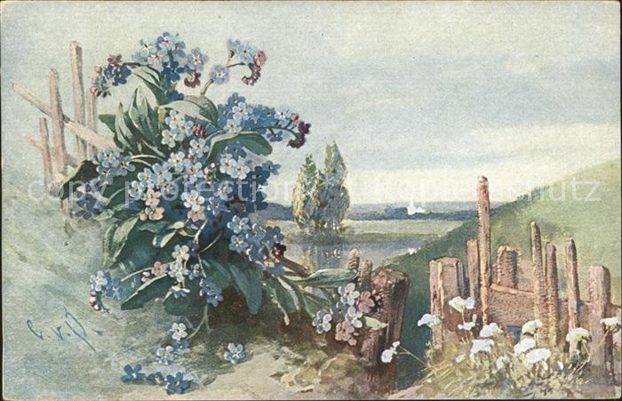 Blumen Vergissmeinnicht