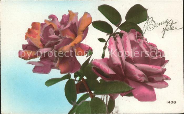 Rosen Bonne Fete
