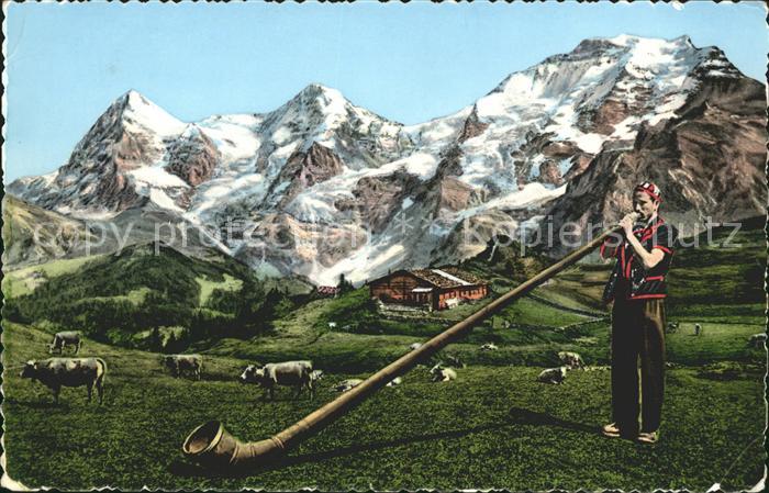 Alphorn Alphornbläser Berge Kühe