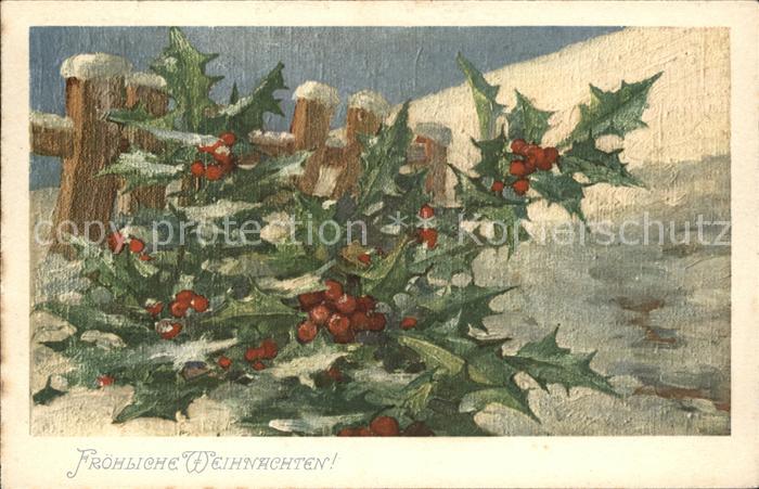 Weihnachten Stechpalme