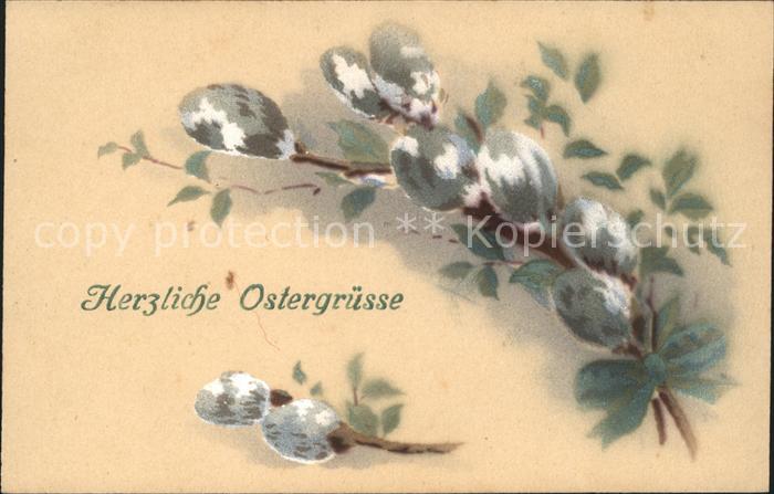 Ostern Easter Paques Weidenkätzchen
