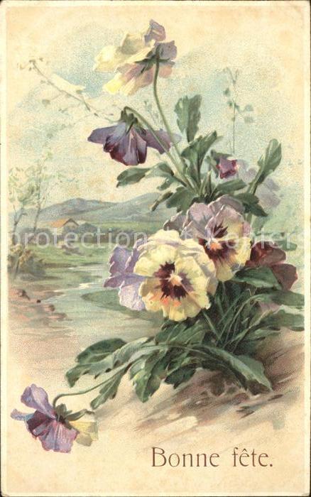 Blumen Stiefmütterchen Litho