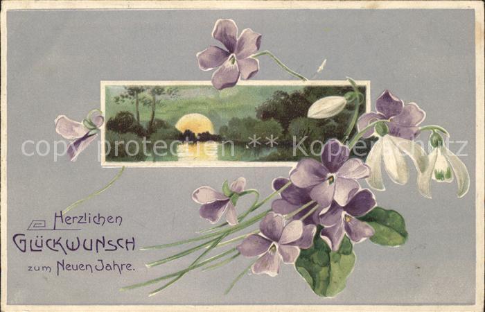Neujahr Veilchen Schneegloeckchen Litho