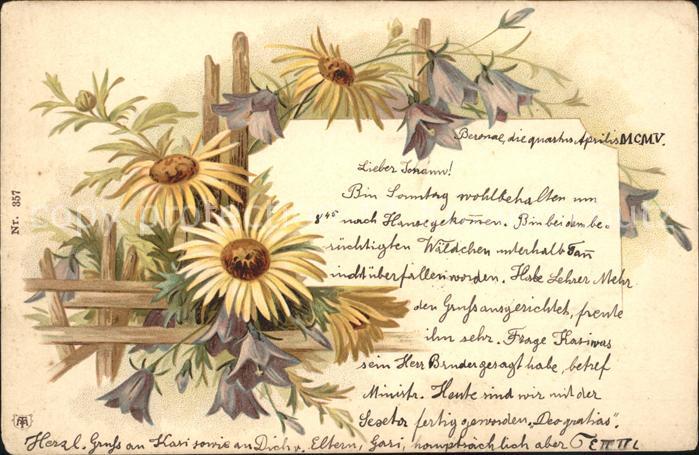 Blumen Gemswurz Glockenblumen Litho