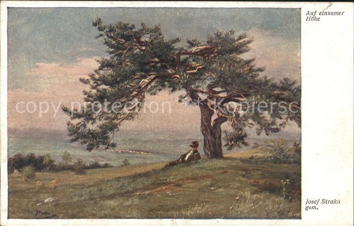 Verlag Wiener Kunst Nr. 1629 Josef Straka Auf einsamer Höhe