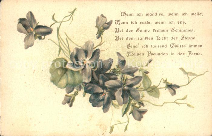 Blumen Veilchen Gedicht Litho