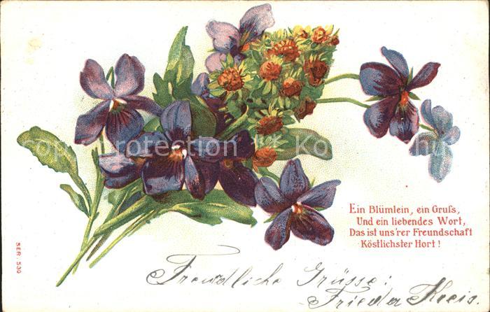 Blumen Veilchen Gedicht Litho