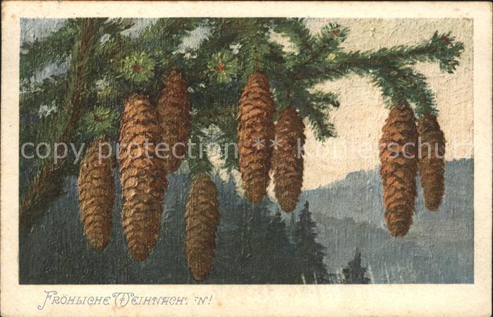 Tannenzapfen Weihnachten