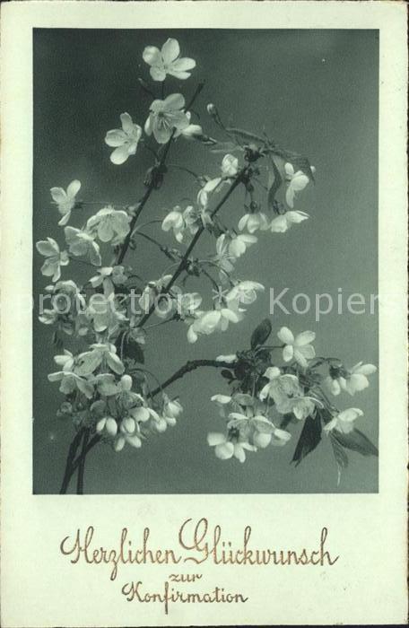 Konfirmation Glueckwunsch Blumen Foto-HB-Nr. 5546