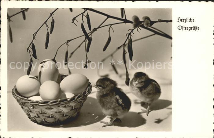 Foto Amag Nr. 69917 Küken Eier Weidenkätzchen