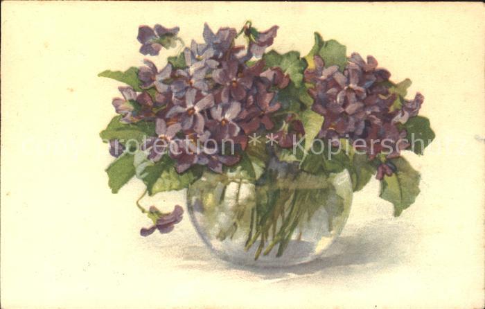 Blumen Veilchen Vase