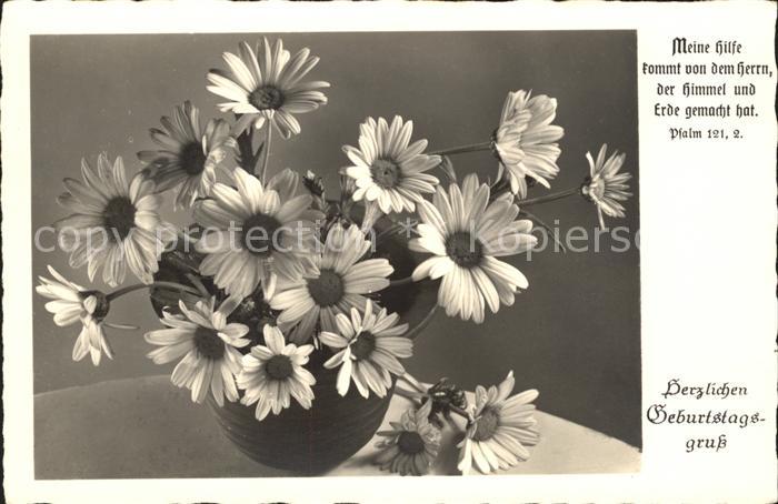 Geburtstag Margeriten Psalm