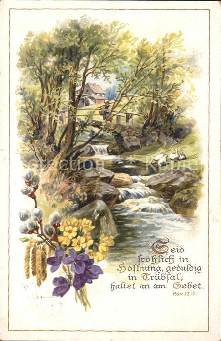 Wassermuehle Brücke Weidenkätzchen Veilchen Schlüsse