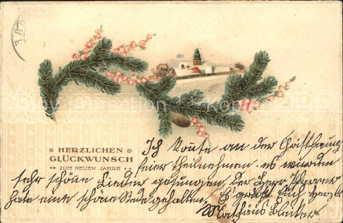 Neujahr Tannenzapfen Litho