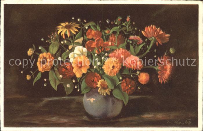 Blumen Zinnie 	
Kaktusblütige Riesen-Zinnien