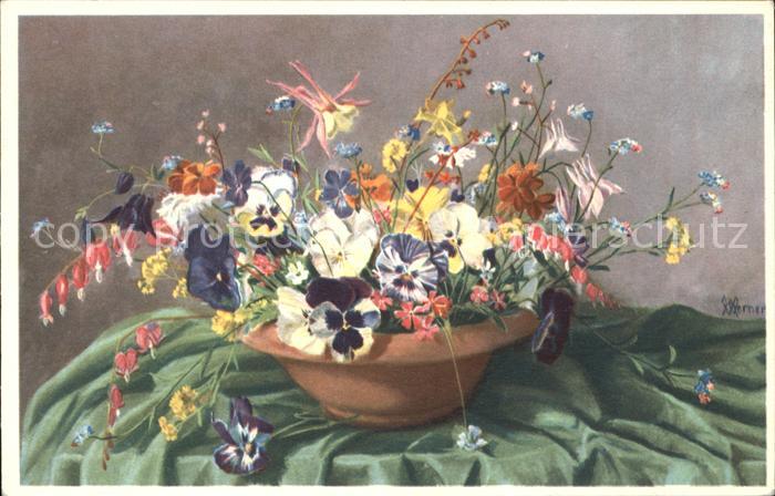 Blumen Stiefmütterchen Vergissmeinnicht Tränen