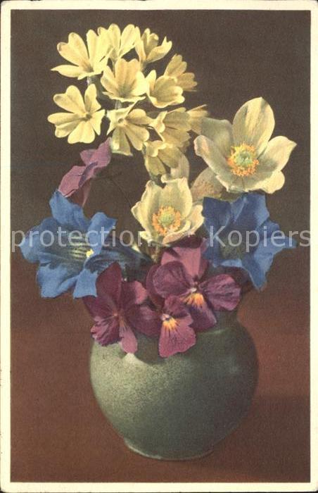 Blumen Langsporn-Veilchen Kochscher Enzian Sch