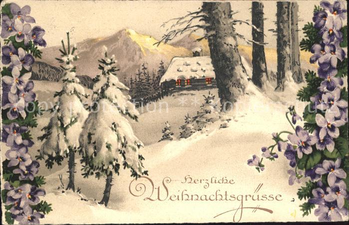 Weihnachten Veilchen Wald Schnee Litho