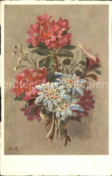 Edelweiss Alpenrosen  Künstler M. K. Nr. 588