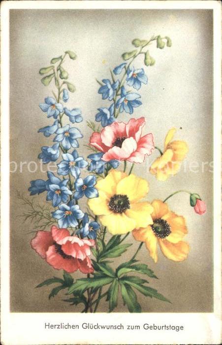 Geburtstag Anemonen Rittersporn 
Wechseln zu: Nav