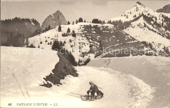 Schlitten Schnee Berge Paysage d Hiver