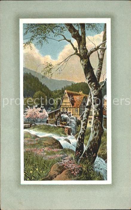 Wassermuehle Fluss Bäume Natur